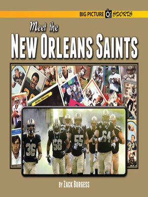 cover image of Meet the New Orleans Saints